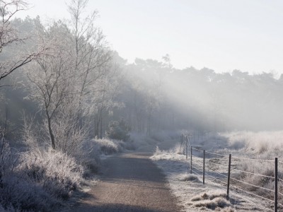 Winterwonderland Brabant
